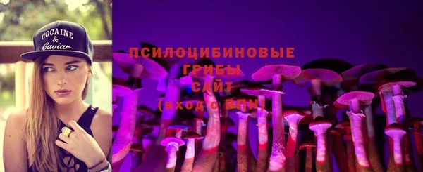 марки lsd Новозыбков