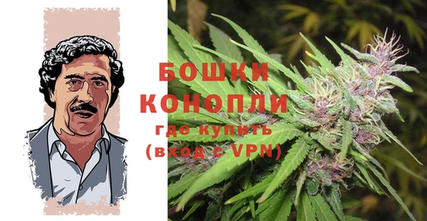 марки lsd Новозыбков