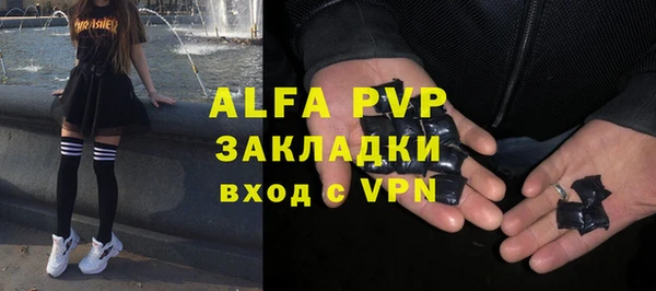 марки lsd Новозыбков